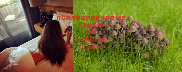 герыч Абаза