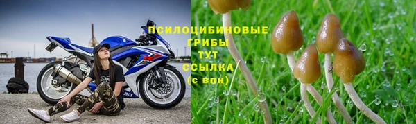 а пвп мука Алзамай