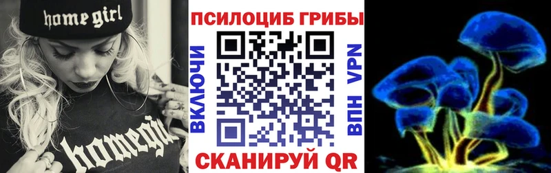 Галлюциногенные грибы GOLDEN TEACHER  Нижний Новгород 